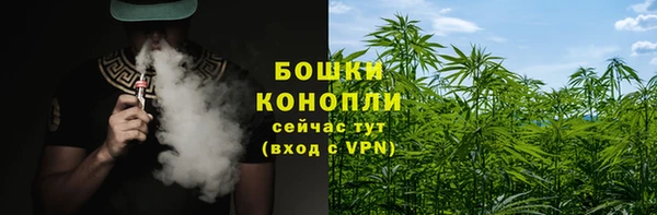 ПСИЛОЦИБИНОВЫЕ ГРИБЫ Алзамай