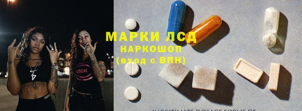 ПСИЛОЦИБИНОВЫЕ ГРИБЫ Алзамай