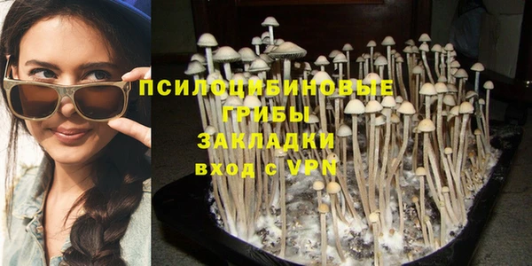 МДМА Алексеевка
