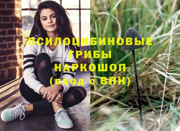 ПСИЛОЦИБИНОВЫЕ ГРИБЫ Алзамай