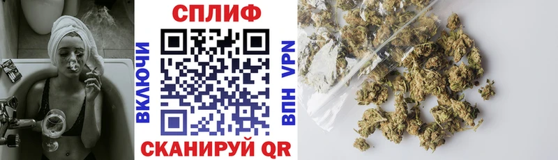 где купить   Тотьма  Бошки марихуана планчик 